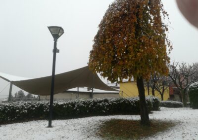 Natale 2020 - Foto esterne della Fondazione Rota